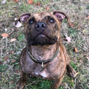 Meet your Posher, Errol